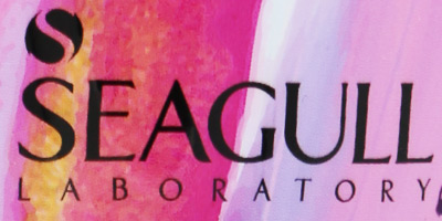 محصولات برند سیگل - SEAGULL